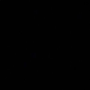 Meet your Posher, Marlon